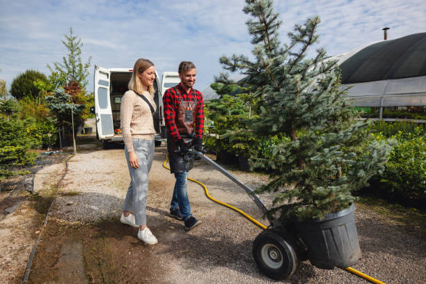 Best Affordable Tree Service  in USA